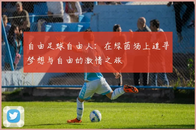 自由足球自由人：在绿茵场上追寻梦想与自由的激情之旅