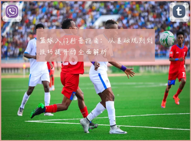 篮球入门科普指南：从基础规则到技巧提升的全面解析