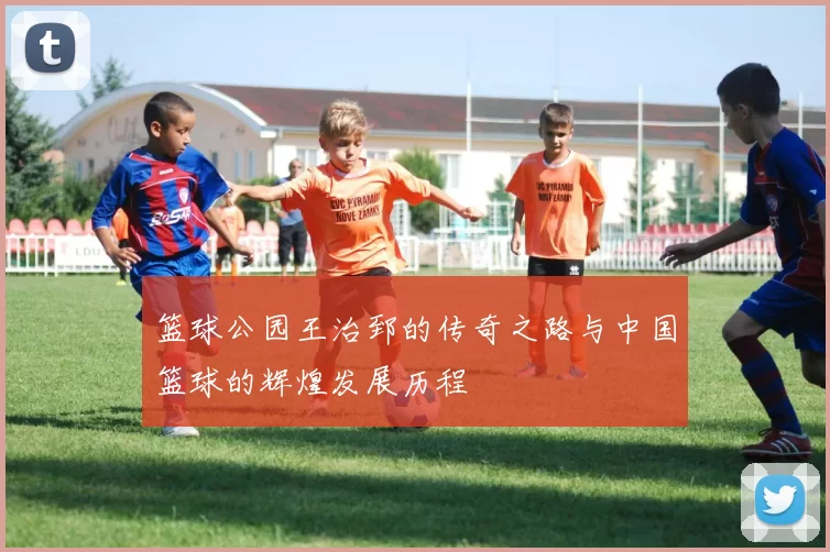 篮球公园王治郅的传奇之路与中国篮球的辉煌发展历程